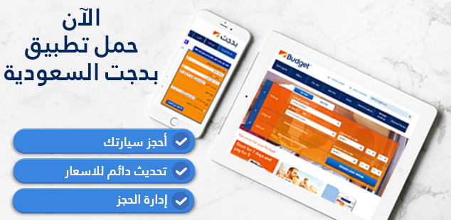 Budget Mobile App